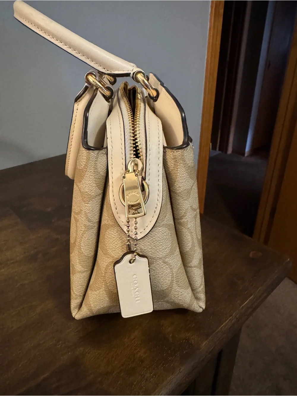 Coach Mini Lillie Carryall